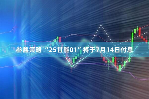 叁鑫策略 “25甘能01”将于7月14日付息